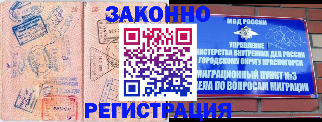 прописка иностранных граждан в Мончегорске